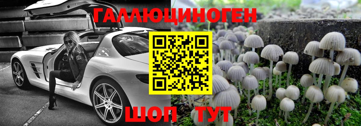 Псилоцибиновые грибы MAGIC MUSHROOMS  Вход с VPN  Псилоцибиновые грибы мухоморы  Нурлат 